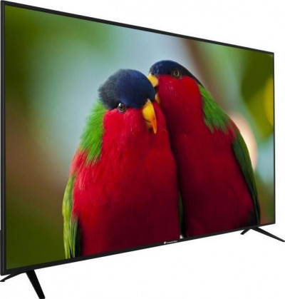 Continental Edison CELED65S20B3